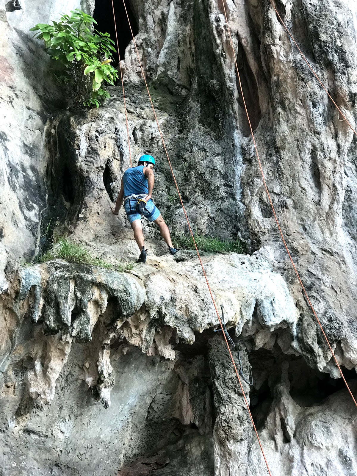 Krabi: Railay Plajında ​​Yarım Gün Kaya Tırmanışı 4,8 / 5  43 Yorum